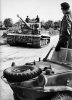 Panzer VI Tiger I (96)